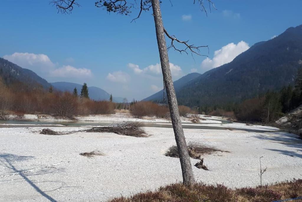 Haus Sunnawind Lägenhet Wallgau Exteriör bild